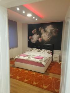 1 dormitorio con 1 cama con una pintura en la pared en Apartman Aleksandar, BN centar, en Bijeljina