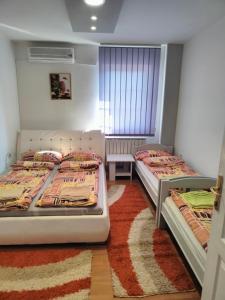a room with two beds and a window at Apartman Aleksandar, BN centar in Bijeljina