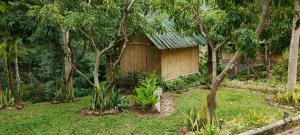 uma pequena casa no meio de uma floresta em ลิ้นฟ้าแคมป์ปิ้งรีสอร์ท em Mae Hong Son
