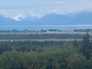 an aerial view of a forest with snow capped mountains at Apartment, walkout basement, Central Homer, Views! in Homer
