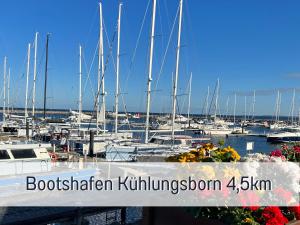 Un montón de barcos están atracados en un puerto deportivo. en 2 Zimmer App Dünengarten Lieblingsplatz Wg11, en Kühlungsborn