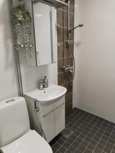 a bathroom with a toilet and a sink and a shower at Viihtyisä yksiö Korialla in Kouvola