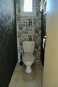 ein Badezimmer mit einem WC und einer Wand aus Zeitungen in der Unterkunft Pierre de lune in Descartes