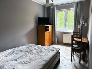 a bedroom with a bed and a chair and a television at Apartament Jurata in Jurata