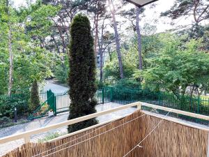 a wooden fence with a large bush next to a tree at Apartament Jurata in Jurata