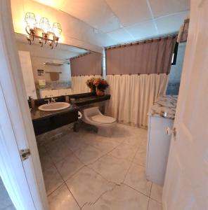a bathroom with a sink and a toilet and a mirror at Apartamento Riviera, lake Panajachel in San Jorge La Laguna