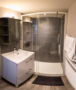 a bathroom with a shower and a sink at Résidence Artemis Paris Orly Aéroport in Villeneuve-le-Roi