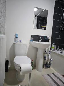 La salle de bains est pourvue de toilettes blanches et d'un lavabo. dans l'établissement Bridgepay Double Room, à Kenton