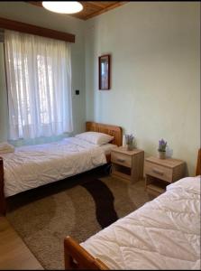 1 dormitorio con 2 camas y 2 mesitas de noche en Charoula Pavliani Fthiotidas en Pávliani