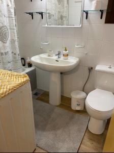 a bathroom with a sink and a toilet and a mirror at Charoula Pavliani Fthiotidas in Pavliani