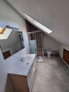 a bathroom with a sink and a shower and a toilet at Maison 8-10 personnes in Vrocourt