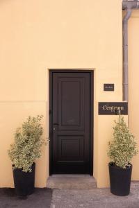 una puerta negra con dos macetas delante de ella en Centrum Nice, en Niza