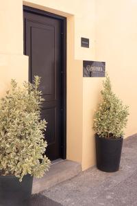 dois vasos de plantas sentados à frente de uma porta em Centrum Nice em Nice