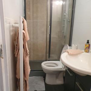 a bathroom with a shower and a toilet and a sink at Hanna in Nice