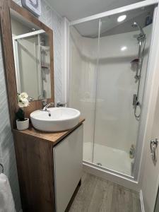 ein Bad mit einem Waschbecken und einer Dusche in der Unterkunft Silver Birch Lodge Aviemore in Aviemore