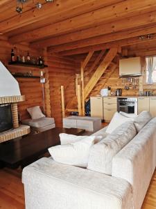 a living room with a couch and a fireplace at Chalet Aroania in Kalavrita