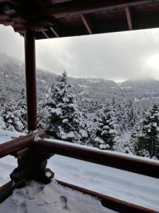 a view of a snow covered forest from a cabin at Chalet Aroania in Kalavrita