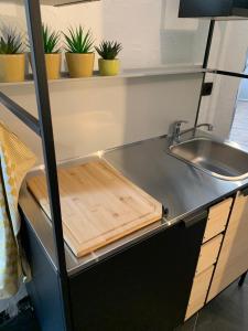 Guestsuite The Nest的厨房或小厨房