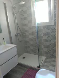 a bathroom with a shower and a toilet and a sink at Casa en el centro del pueblo in Conil de la Frontera