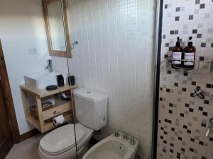 a bathroom with a white toilet and a sink at Complejo Puente viejo casa 2 in Trevelin