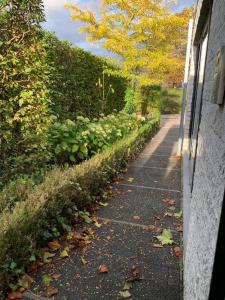住宿加早餐旅馆周边自然景观
