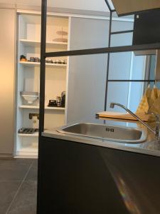 Guestsuite The Nest的厨房或小厨房