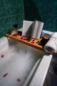 bandeja de madera con libros y una copa de vino en la bañera. en Stan na dan Paracin 035, en Paraćin