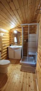 a bathroom with a shower and a toilet and a sink at Chalet Aroania in Kalavrita