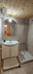 a bathroom with a sink and a shower and a mirror at Chalet Aroania in Kalavrita