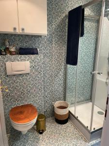 ein Bad mit einem WC und einer Dusche in der Unterkunft Gästezimmer Schwaz Panorama in Schwaz