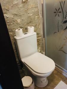 uma casa de banho com WC e 2 rolos de papel higiénico em Şirince leylak ev pansiyon em Selçuk