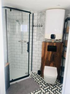 W łazience znajduje się toaleta i przeszklony prysznic. w obiekcie Apartament nad jeziorem w mieście Rydzówka