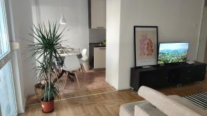 Sala de estar con 2 macetas y TV en Apartment YANNA comfort, free parking, en Osijek