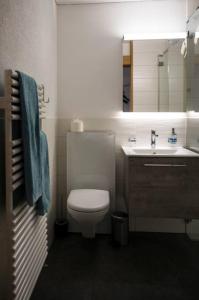 a bathroom with a toilet and a sink and a mirror at Moderne 2-Zimmer-Wohnung in Albinen mit Aussicht in Albinen