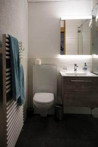 a bathroom with a toilet and a sink and a mirror at Moderne 2-Zimmer-Wohnung in Albinen mit Aussicht in Albinen +6 photos