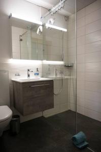 a bathroom with a shower and a sink and a toilet at Moderne 2-Zimmer-Wohnung in Albinen mit Aussicht in Albinen