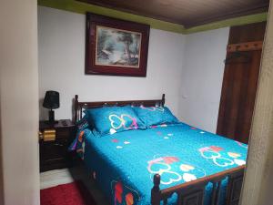 圣克鲁兹Hostal Gomero的一间卧室，里面有一张床，铺着蓝色被子。