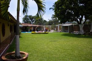 un patio con una palmera y una casa en CASAS MÉXICO, en Macuspana