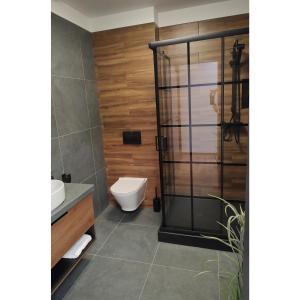 a bathroom with a toilet and a glass shower at Apartamenty Comfort in Gniezno