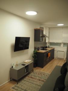a living room with a kitchen with a tv on the wall at Apartment Simon in Zagreb +10 photos