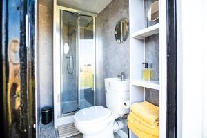 a bathroom with a toilet and a shower at The Other Red Hut in Rye Harbour