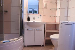 W łazience znajduje się umywalka, toaleta i prysznic. w obiekcie Okno na Śnieżkę w mieście Karpacz