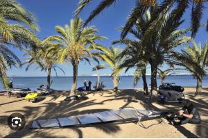 een strand met palmbomen en een surfplank op het zand bij casa movil in Playa Paraiso