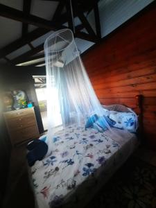 a bedroom with a bed with a mosquito net at Villa le flamboyant in Le Marin