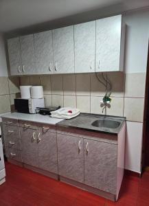 una cucina con lavandino e piano di lavoro di Apartman Centar a Srbobran