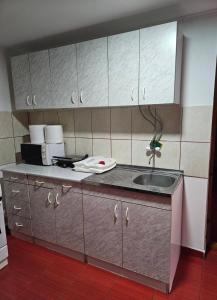 Η κουζίνα ή μικρή κουζίνα στο Apartman Centar