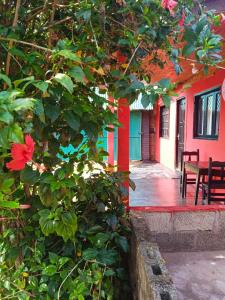 una casa roja con una mesa y un árbol en Estanislao López 127 en Puerto Iguazú