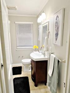 a bathroom with a sink and a toilet at Towson Center BNB in Towson
