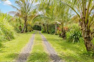 Vrt ispred objekta Off-Grid Getaway with Ocean Views in Paradise
