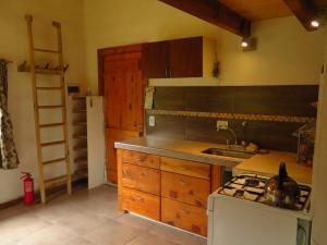 cocina con fregadero y fogones horno superior en Hermosa casa rodeada de bosque en Los Repollos